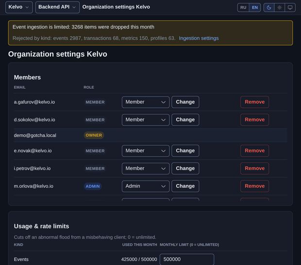 Organization settings: members, their roles and access management